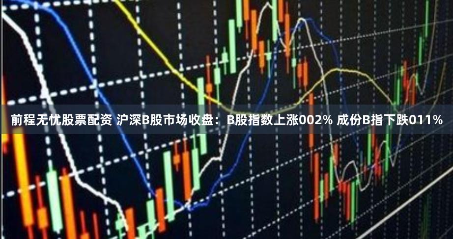 前程无忧股票配资 沪深B股市场收盘：B股指数上涨002% 成份B指下跌011%