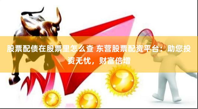 股票配债在股票里怎么查 东营股票配资平台：助您投资无忧，财富倍增