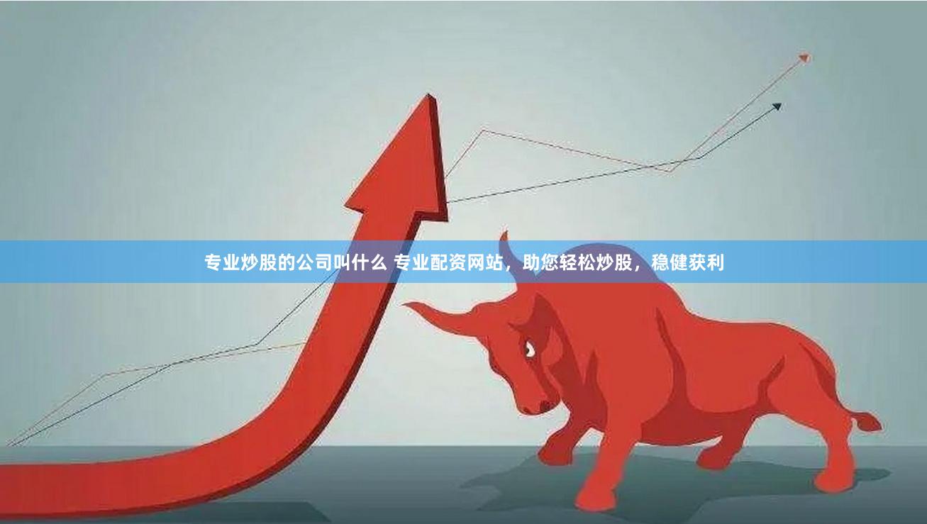 专业炒股的公司叫什么 专业配资网站，助您轻松炒股，稳健获利