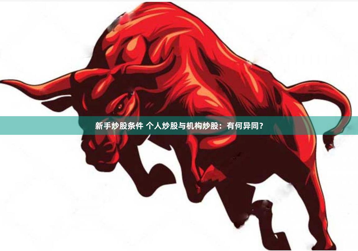 新手炒股条件 个人炒股与机构炒股：有何异同？